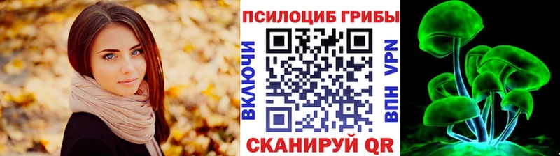 Псилоцибиновые грибы Cubensis  купить   Элиста 